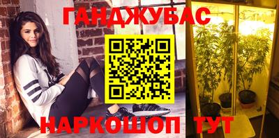 mdpv Рыбинск