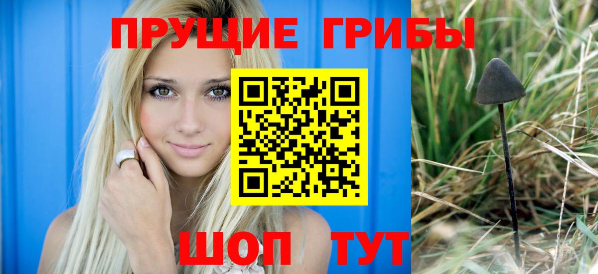 Галлюциногенные грибы прущие грибы Первоуральск