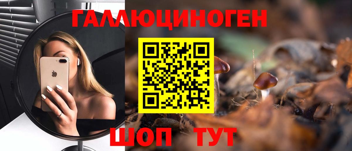 Первоуральск  Псилоцибиновые грибы Cubensis  Вход с VPN 